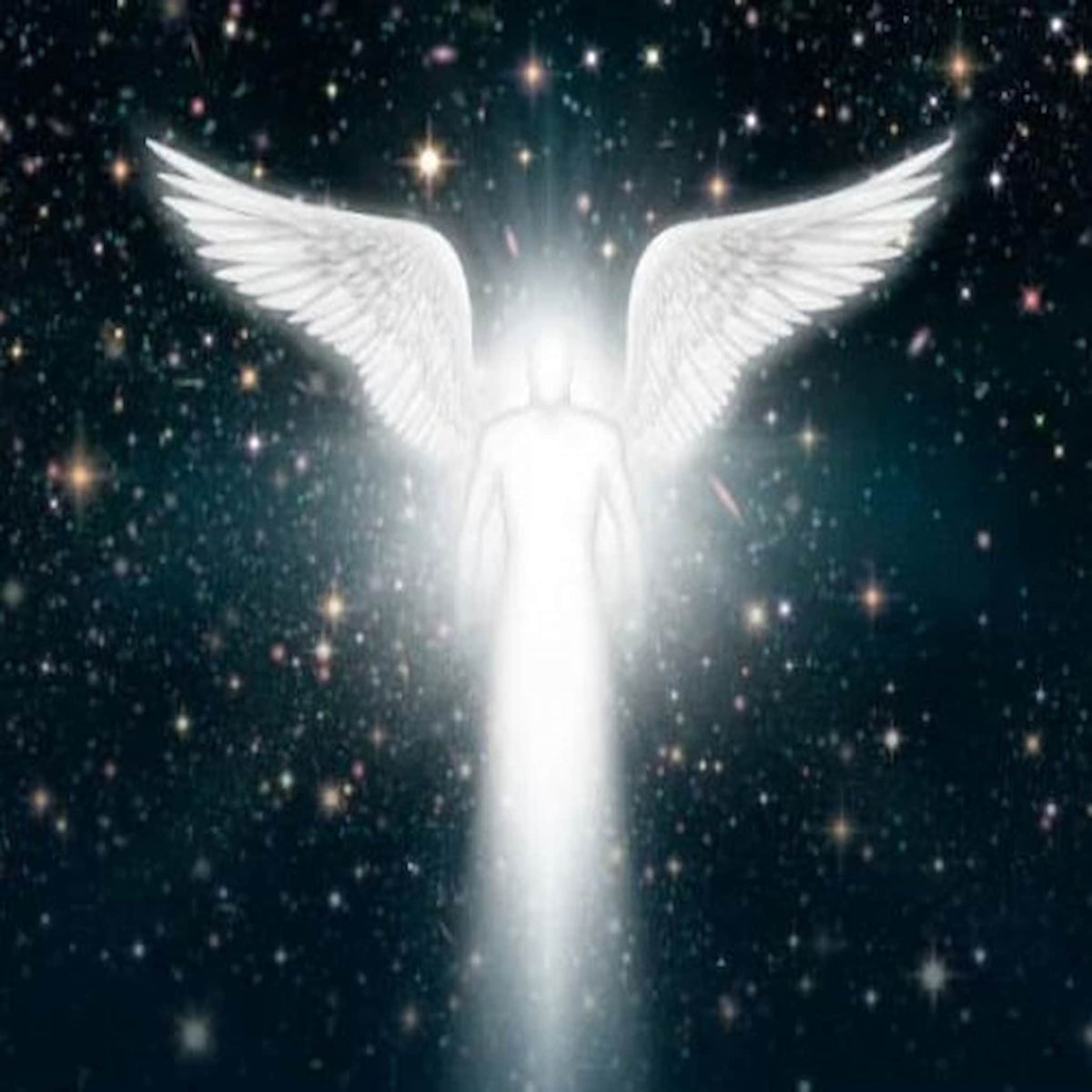 angel workshops